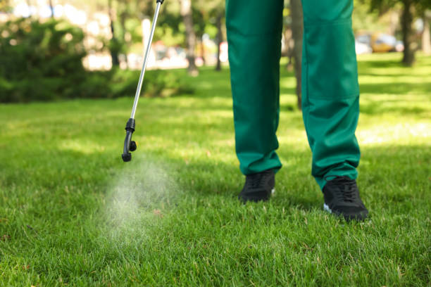 Best Pest Control for Homes  in Taylorsville, KY