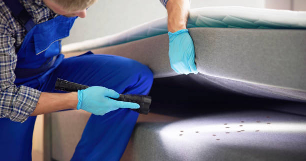 Best Pest Prevention Services  in Taylorsville, KY
