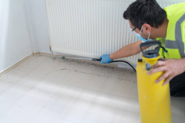 Best Mosquito Control Services  in Taylorsville, KY